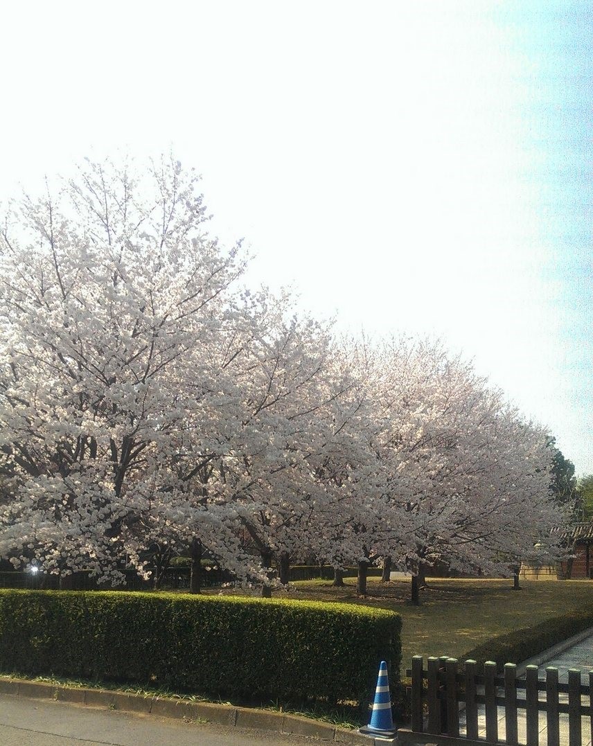 /bu/diary/img/20231009tasaki2.jpg