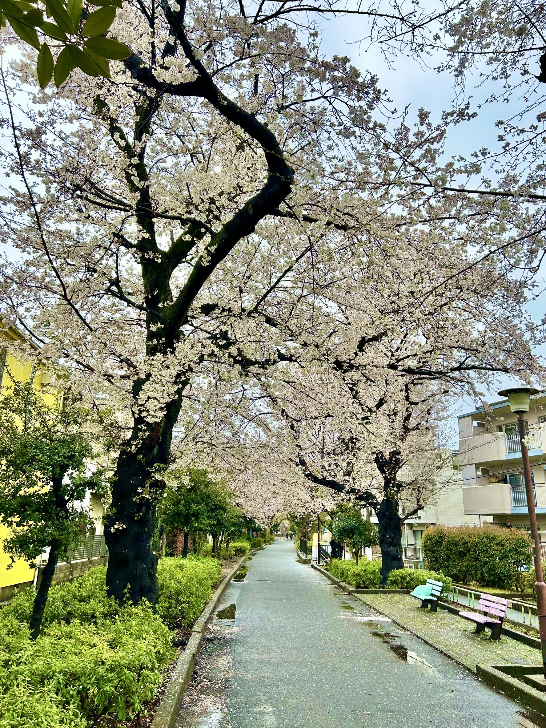 /bu/diary/img/20250407nakanishi4.JPG