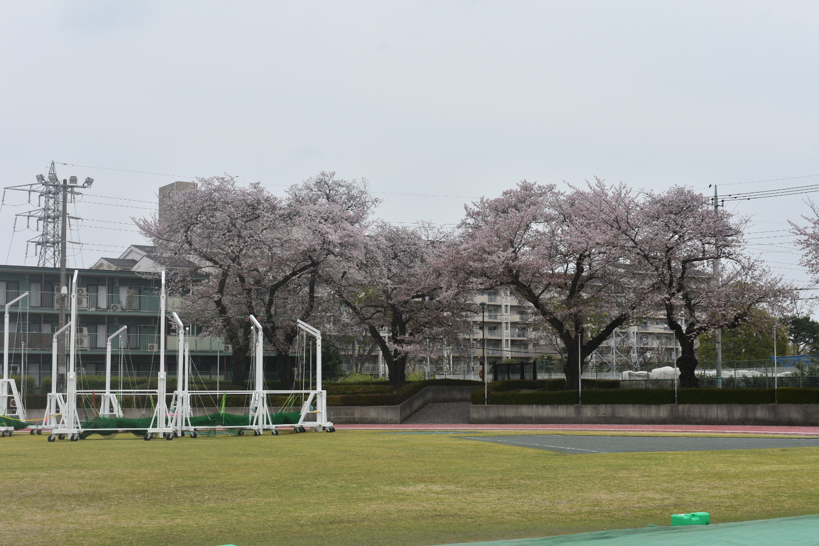 /bu/diary/img/20250414nakanishi8.jpeg