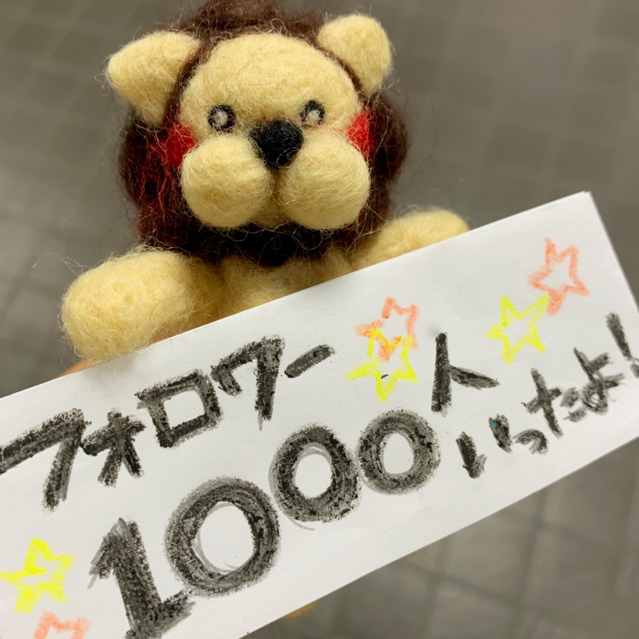 S__50241543.jpg