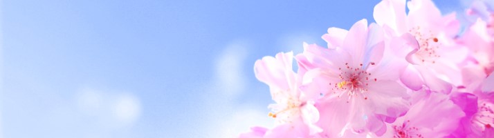 775b4688b9d5651fc4598c4643e81330_l.jpg