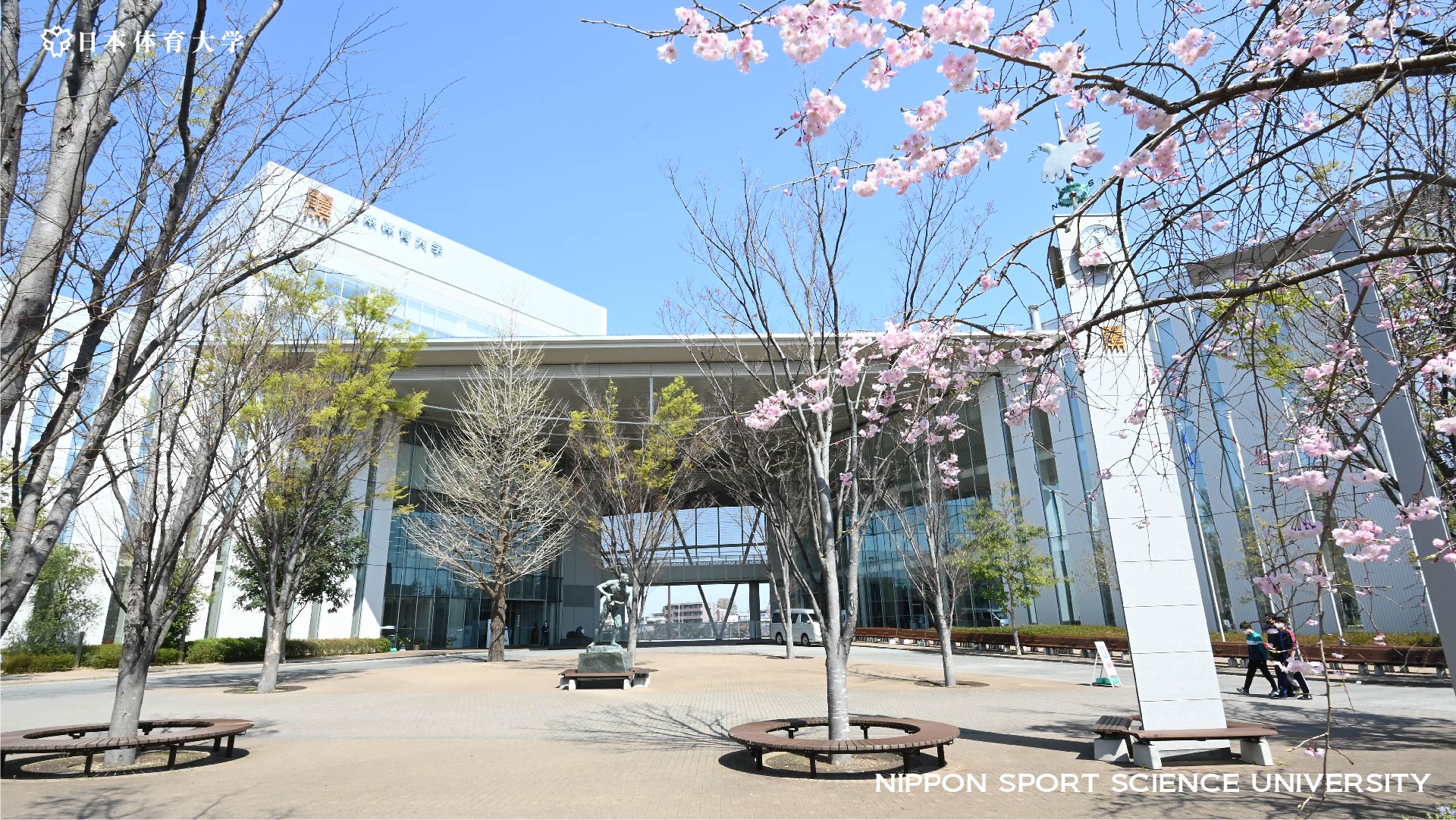 abm00004043.jpg